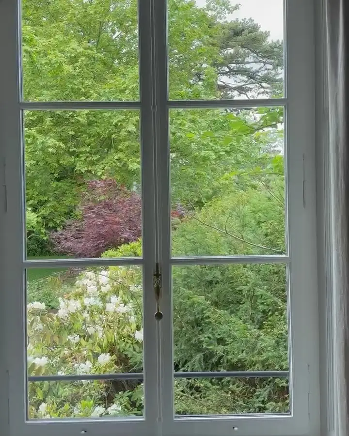 Fenêtre blanche propre donnant sur un jardin fleuri